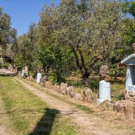 Casa Lilliu *